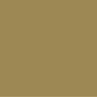 Model Paint Co - Dark Yellow RAL7028 30ml