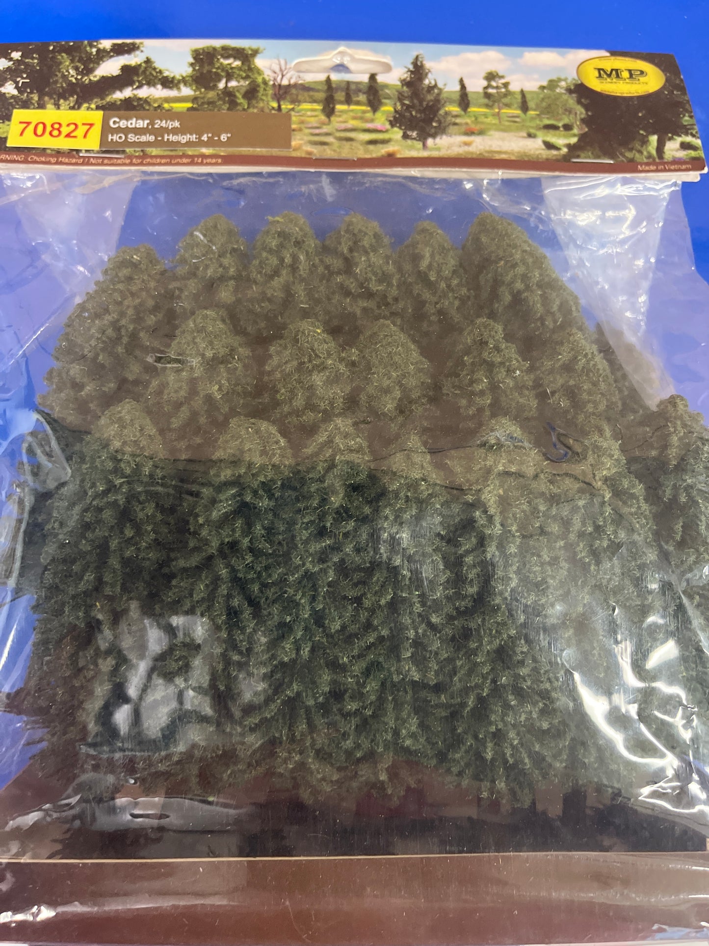 Cedar 24/pk