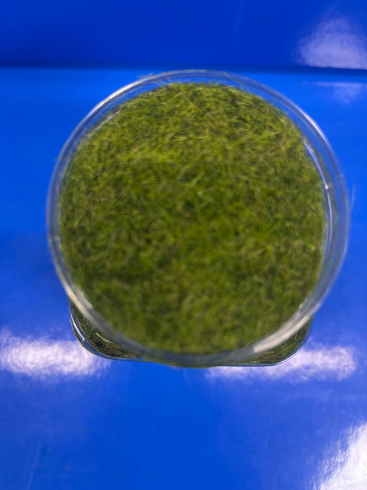 Static Grass - 5mm 400ml - Winter Light Green