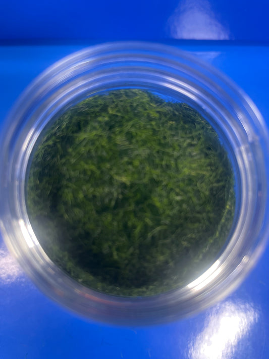 Static Grass - 5mm 400ml - Dark Green