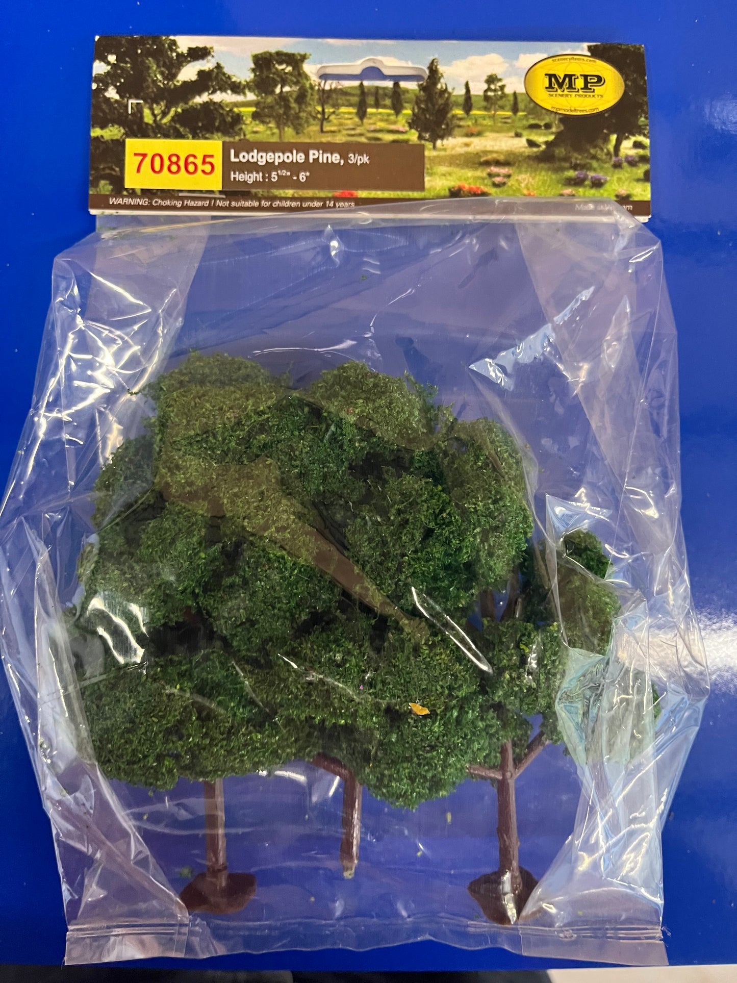 Lodgepole Pine 3/pk