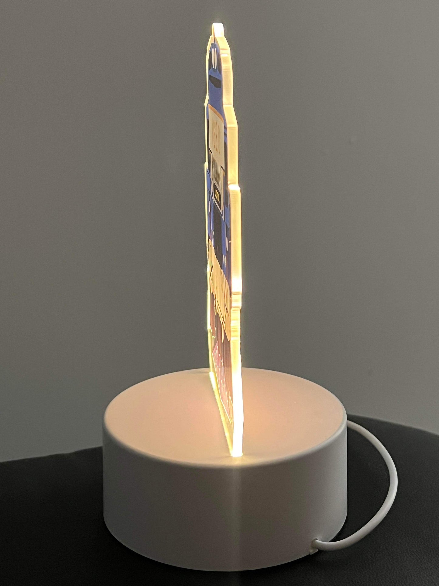 USB Lamp - Queensland EMU