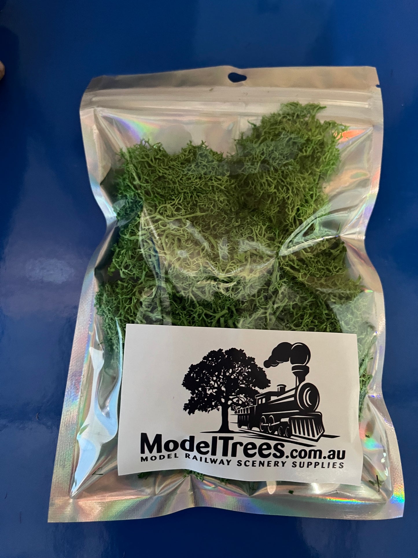 Lichen Moss Foliage - Medium