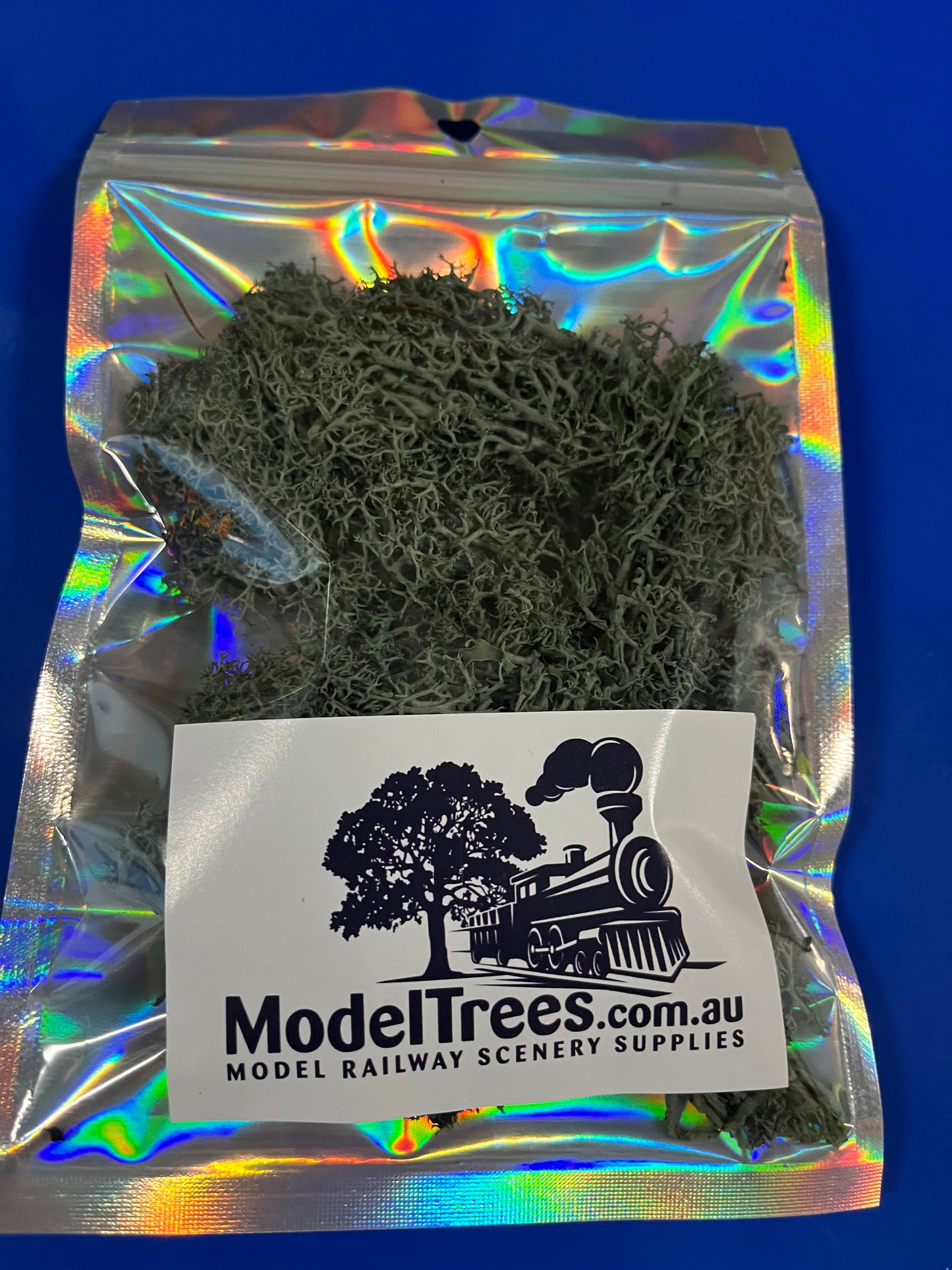 Lichen Moss Foliage - Grey Green