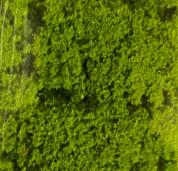 Clumping Ground Foam - Medium Green