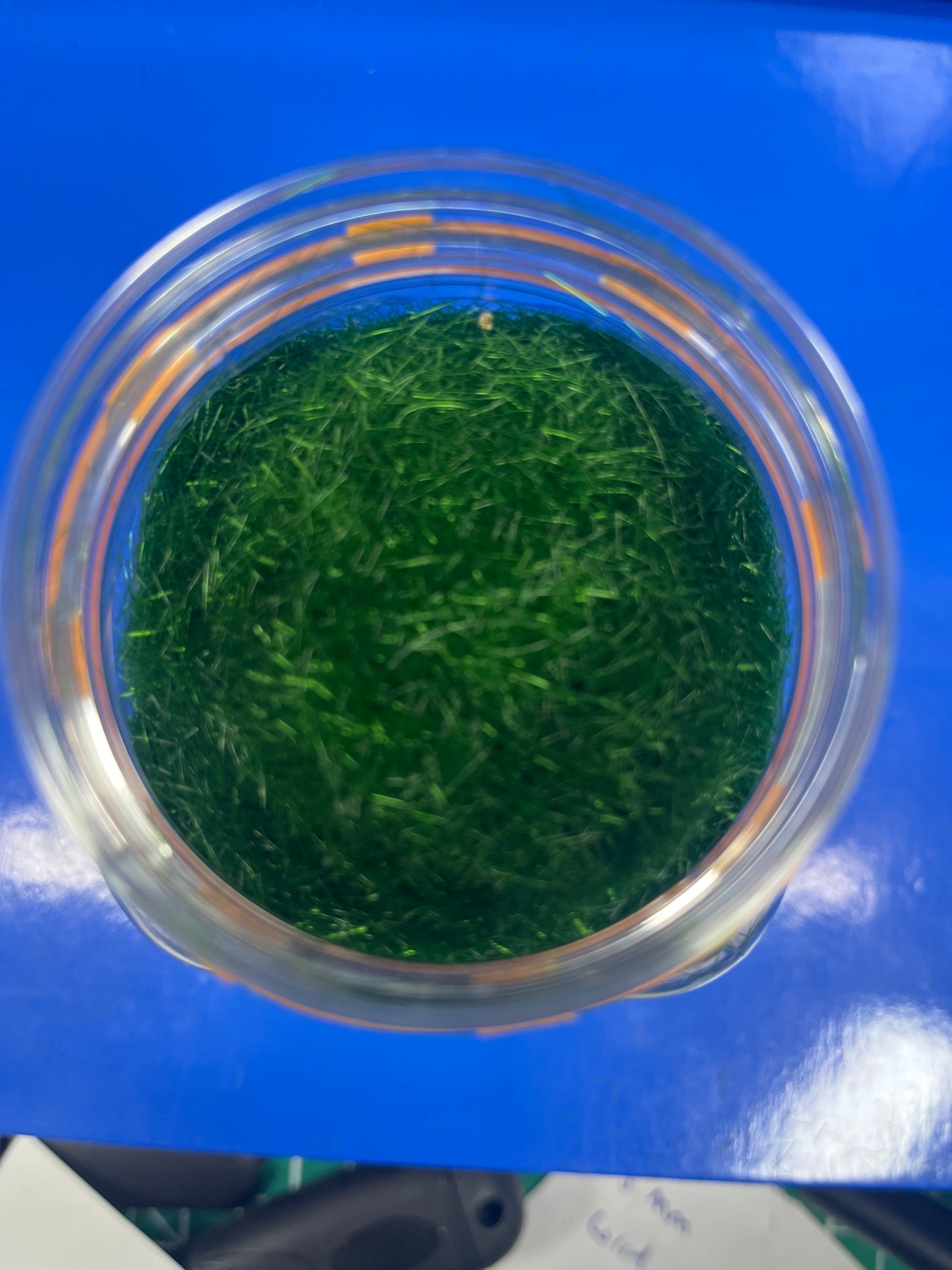Static Grass - 8mm 400ml - Dark Green