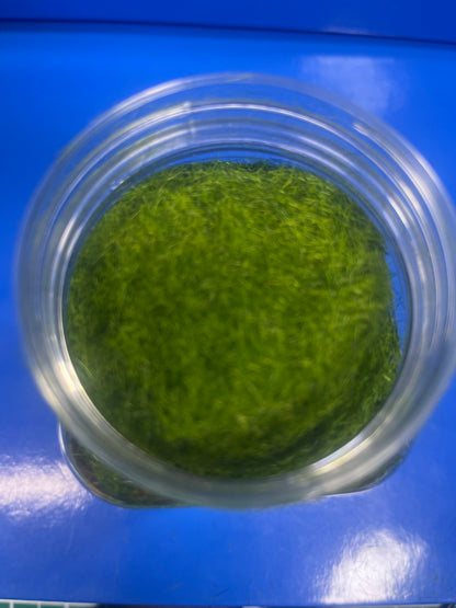 Static Grass - 5mm 400ml - Light Green