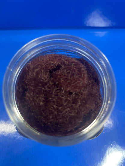 Static Grass - 5mm 400ml - Brown