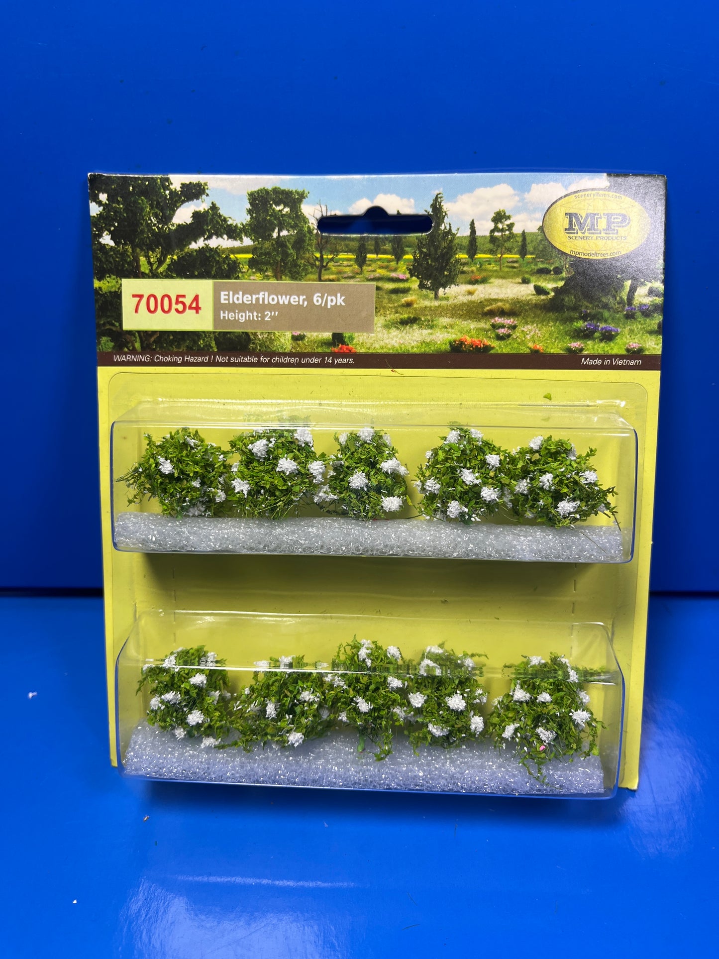 Elderflower (White) 10/pk HO