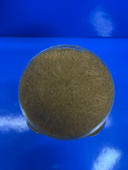 Static Grass - 5mm 400ml - Winter Dry Grass