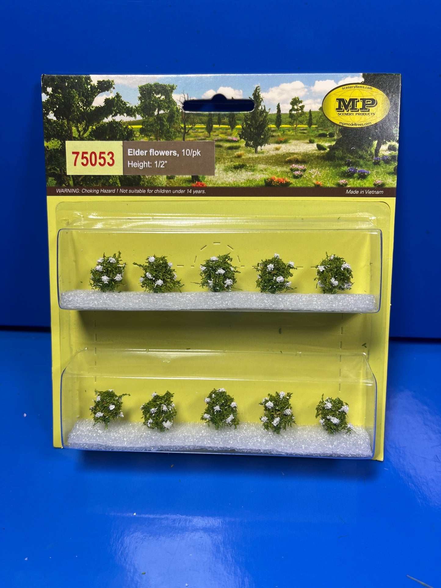 Elderflower (White) 10/pk N