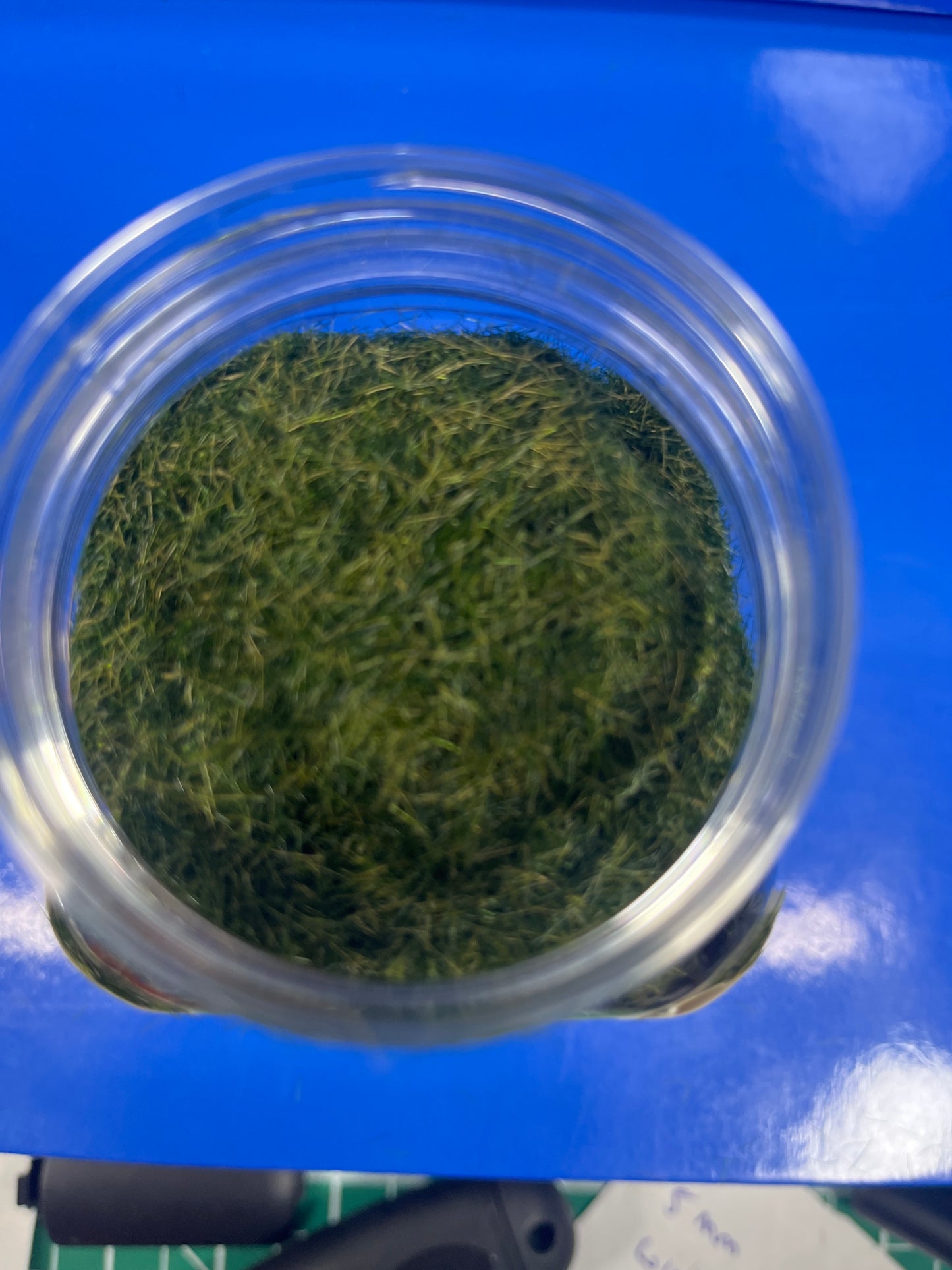 Static Grass - 5mm 400ml - Winter Green