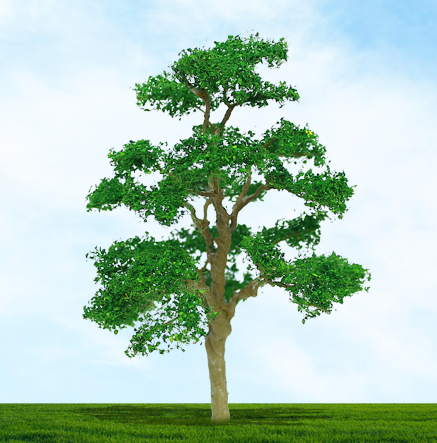 MP Scenery - Elm HO  2/pk