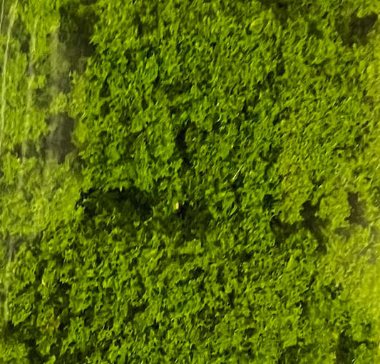 Ground Foam - Medium Green